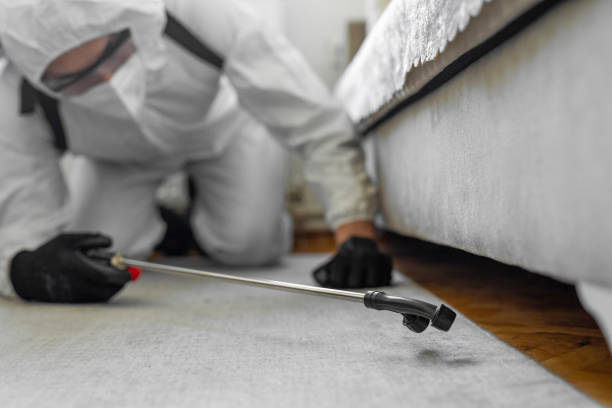 Professional Termite Control technician working in Osceola, WI