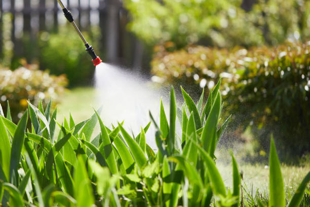 24/7 Emergency Termite Control experts in Osceola, WI